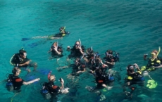 Diving and Snorkeling