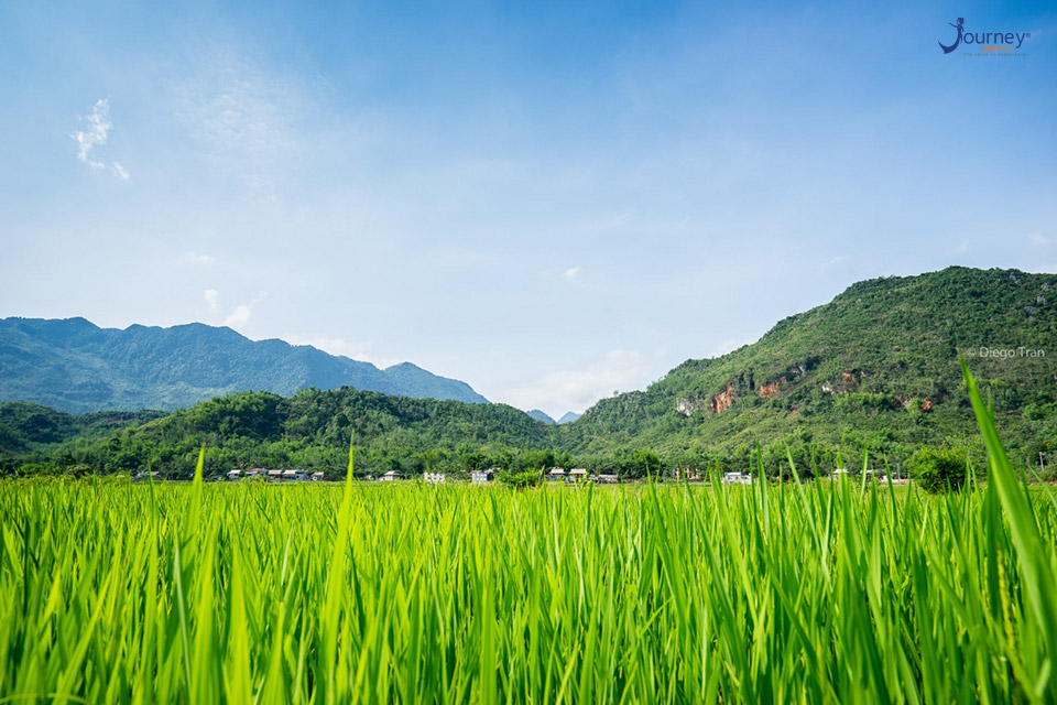Mai Chau: A Paradise Discovered - Journey Vietnam
