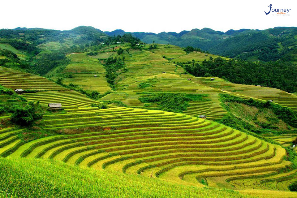 The Alluring Plateaus In The North Of Vietnam - Journey Vietnam