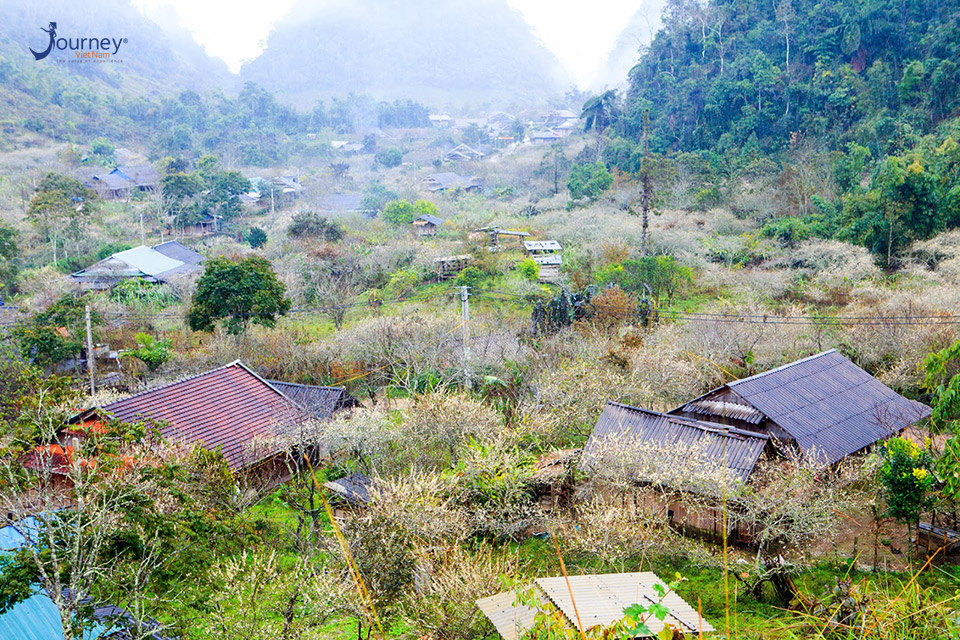 Muong Long - New Land In Nghe An For Backpackers