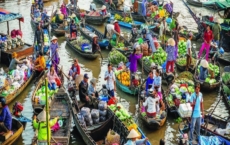 mekong delta market