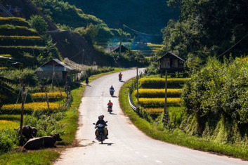 The Unmistakable Beauty Of The Mu Cang Chai - Journey Vietnam