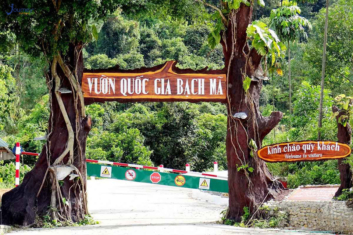 Bach Ma National Park - Journey Vietnam